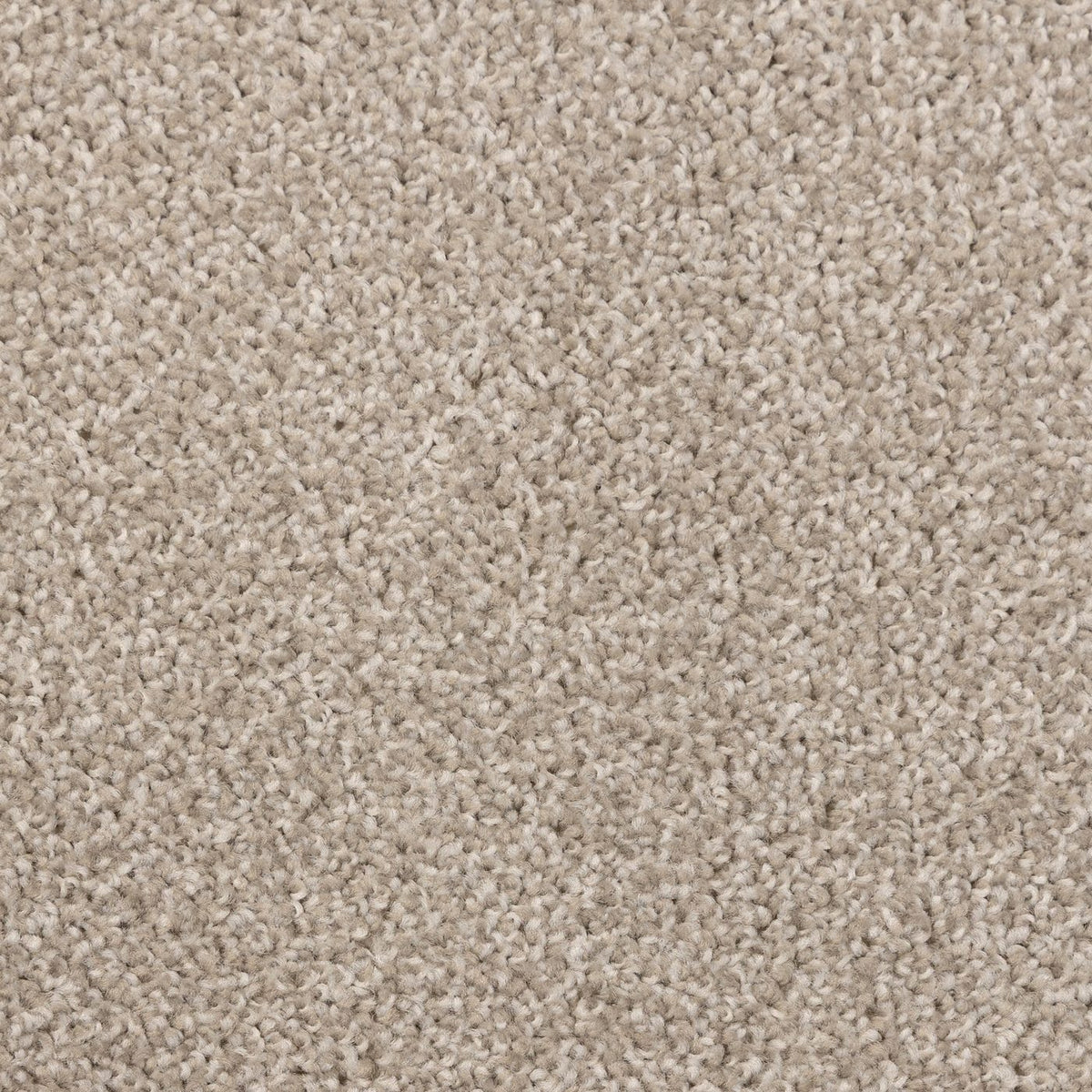 Flooring Wholesale Artisan Shell Carpet