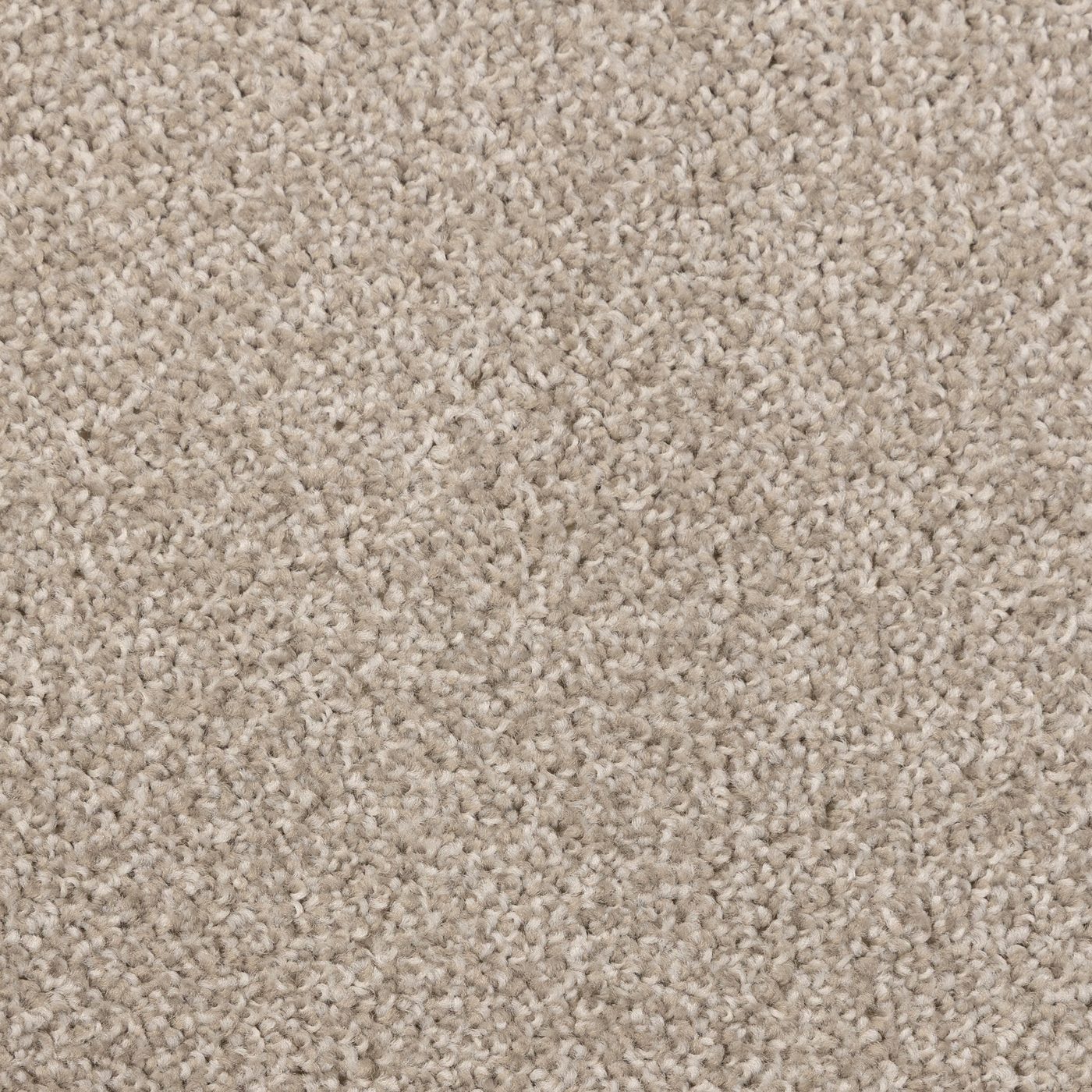 Flooring Wholesale Artisan Shell Carpet