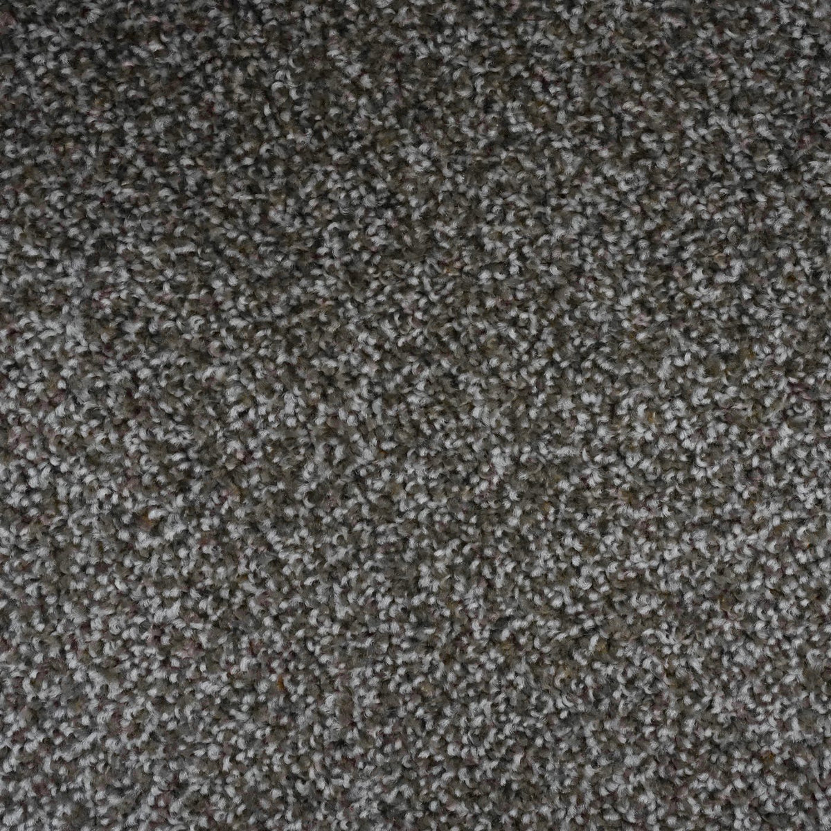 Flooring Wholesale Artisan Taupe Carpet