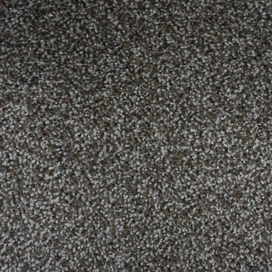 Flooring Wholesale Artisan Taupe Carpet