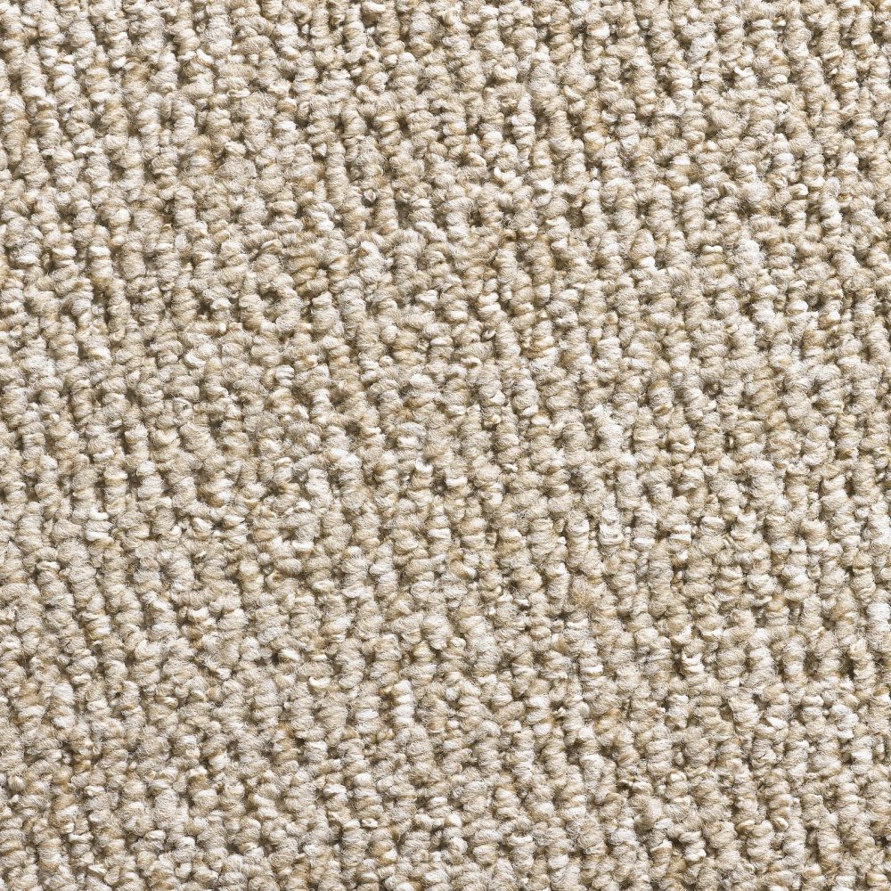 Flooring Wholesale Glenmore Beige Carpet