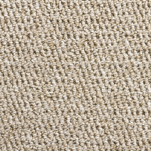 Flooring Wholesale Glenmore Beige Carpet