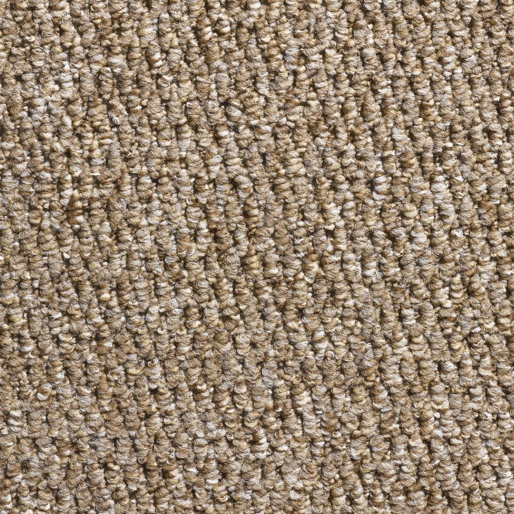 Flooring Wholesale Glenmore Mink Carpet