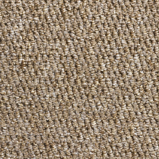 Flooring Wholesale Glenmore Mink Carpet