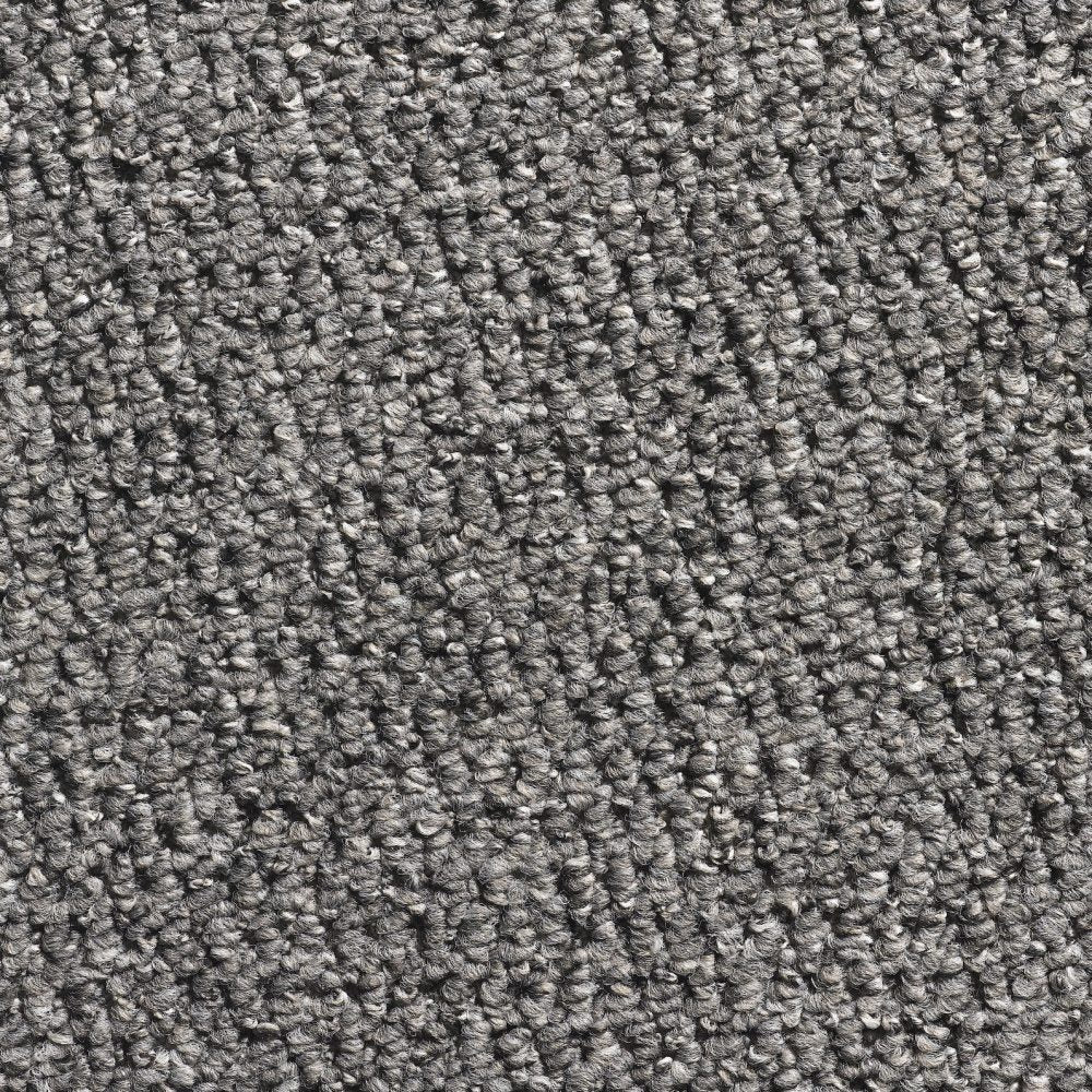 Flooring Wholesale Glenmore Silver Carpet
