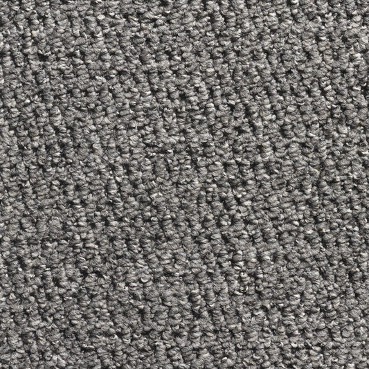 Flooring Wholesale Glenmore Silver Carpet