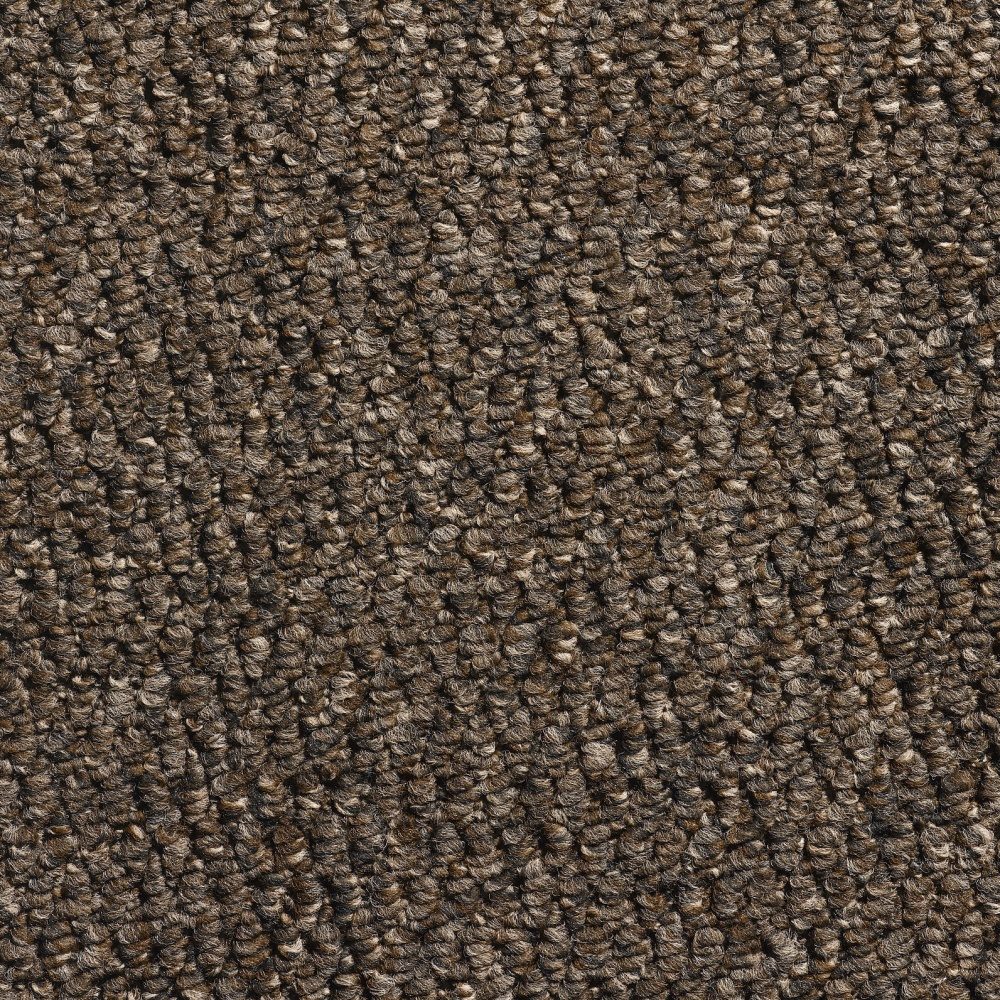 Flooring Wholesale Glenmore Tobacco Carpet