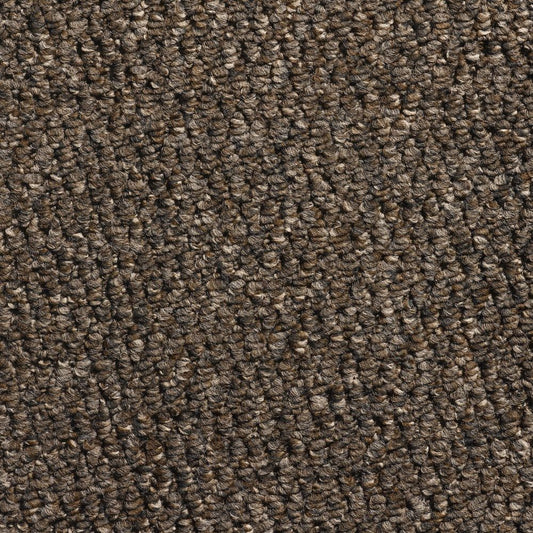 Flooring Wholesale Glenmore Tobacco Carpet