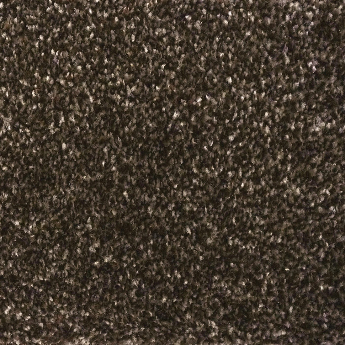 Flooring Wholesale Optima Chocolate Carpet