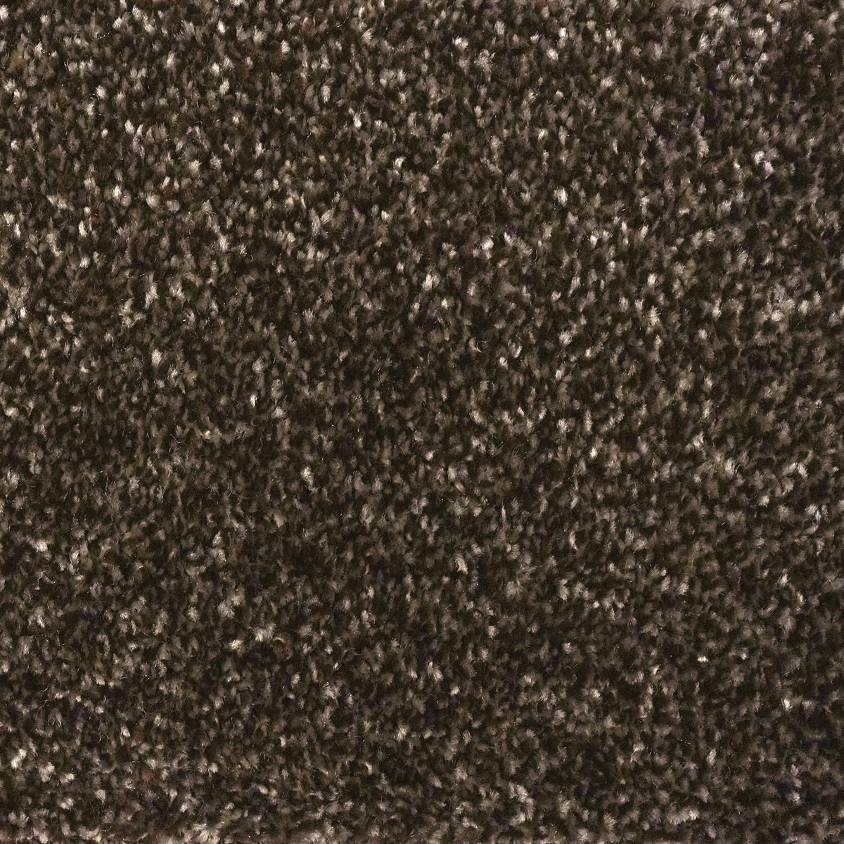 Flooring Wholesale Optima Chocolate Carpet