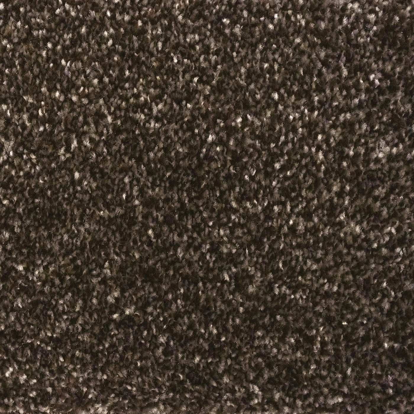 Flooring Wholesale Optima Chocolate Carpet