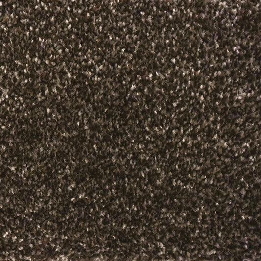 Flooring Wholesale Optima Chocolate Carpet