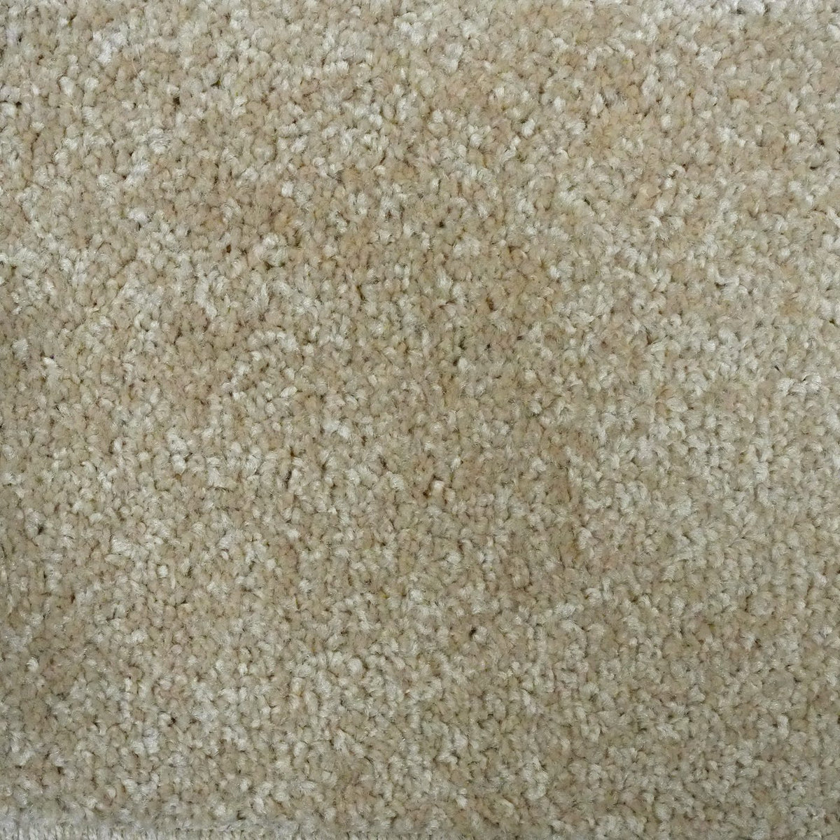 Flooring Wholesale Optima Harvest Carpet
