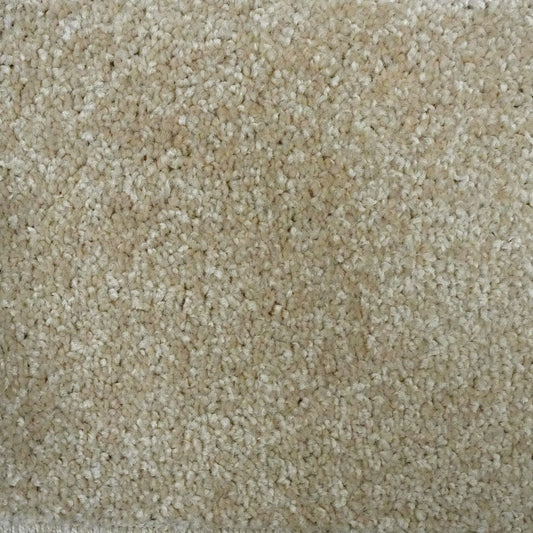 Flooring Wholesale Optima Harvest Carpet