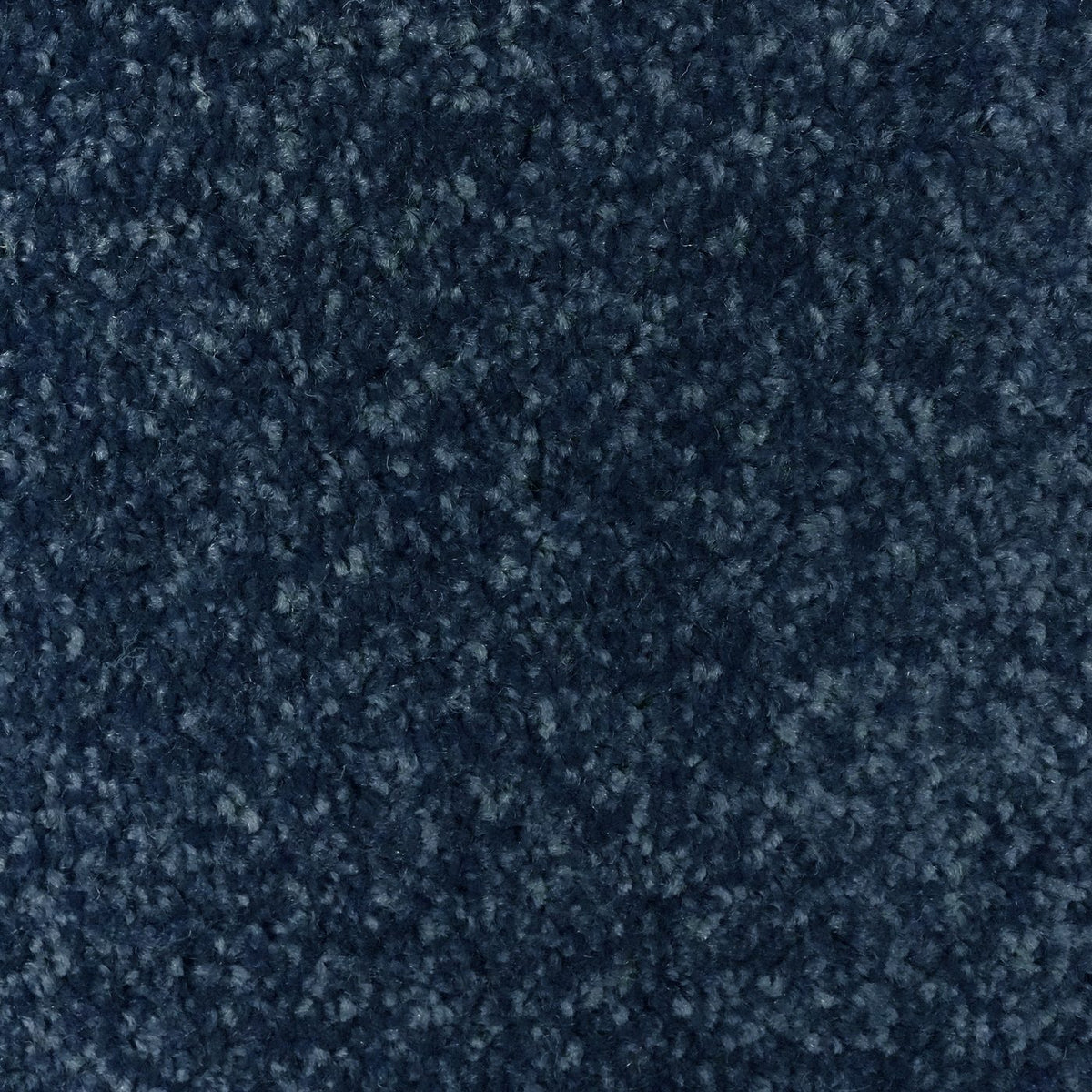 Flooring Wholesale Optima Midnight Carpet