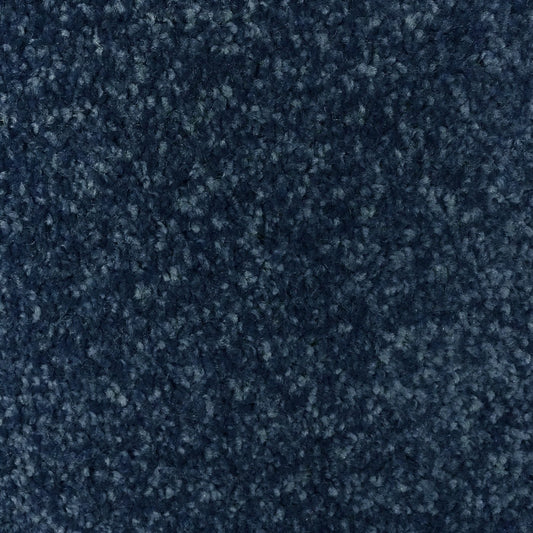 Flooring Wholesale Optima Midnight Carpet