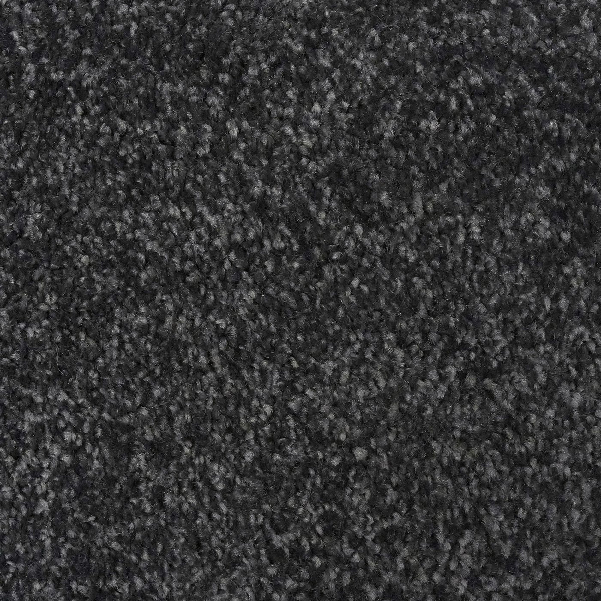Flooring Wholesale Optima Pewter Carpet