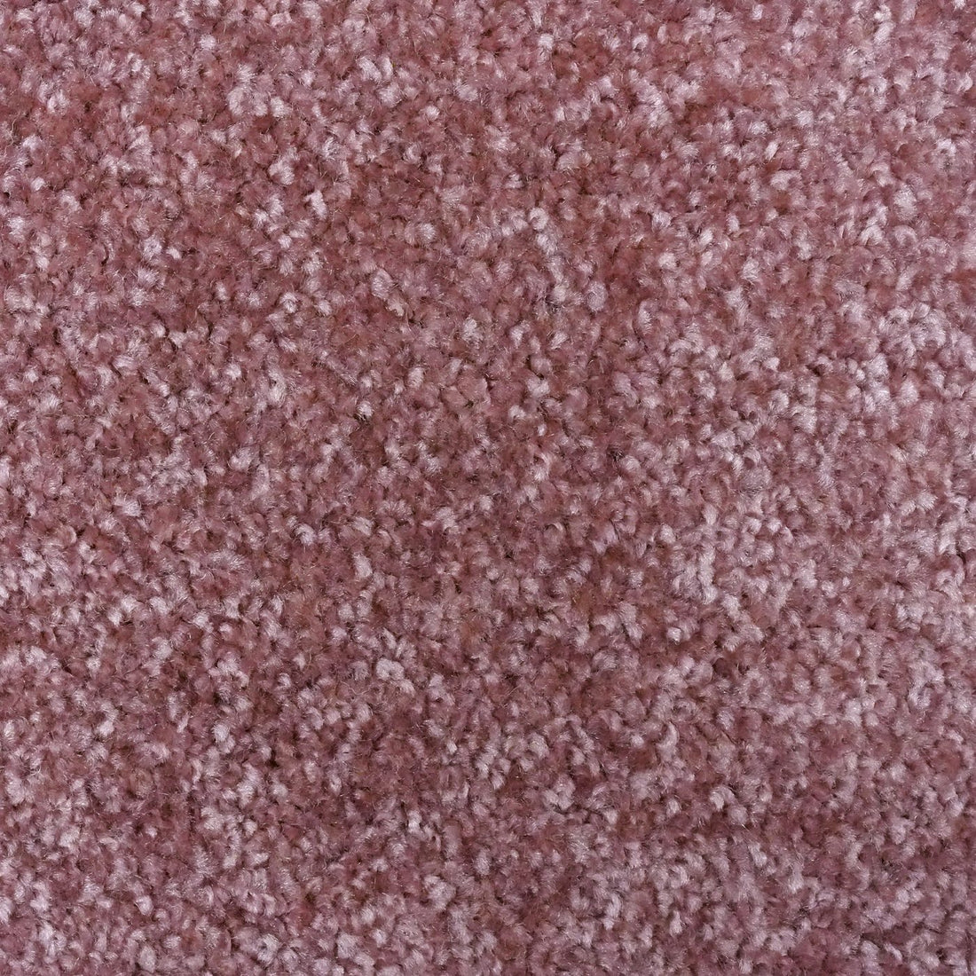 Flooring Wholesale Optima Rose Carpet