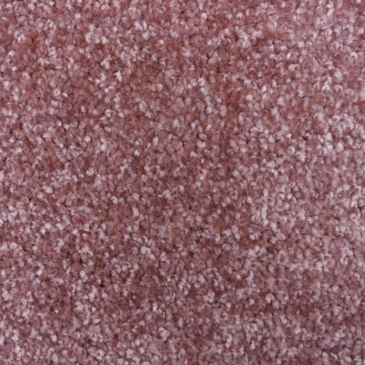 Flooring Wholesale Optima Rose Carpet