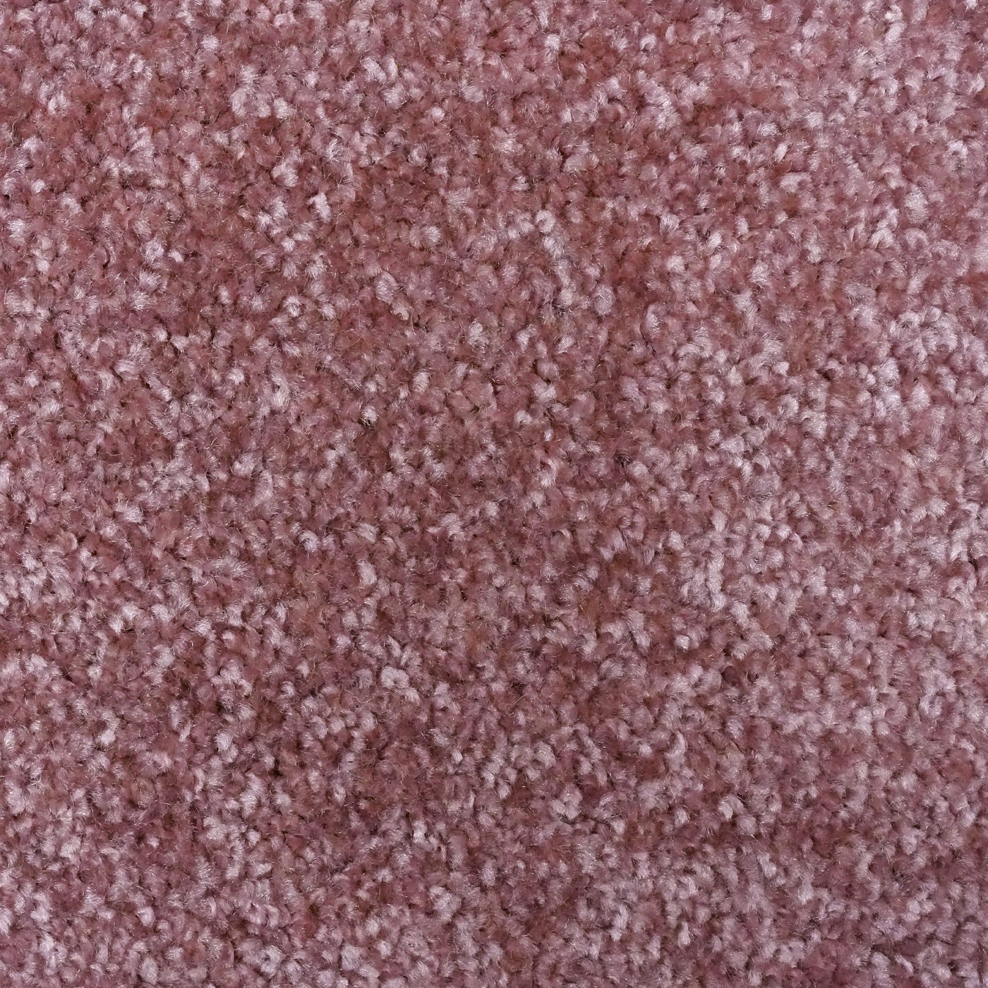 Flooring Wholesale Optima Rose Carpet