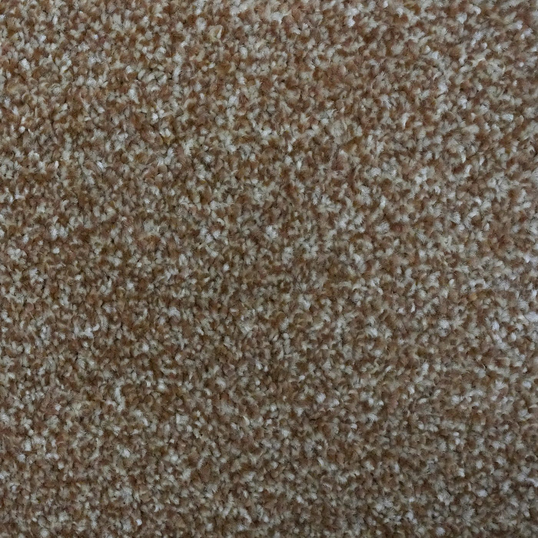 Flooring Wholesale Optima Sepia Carpet