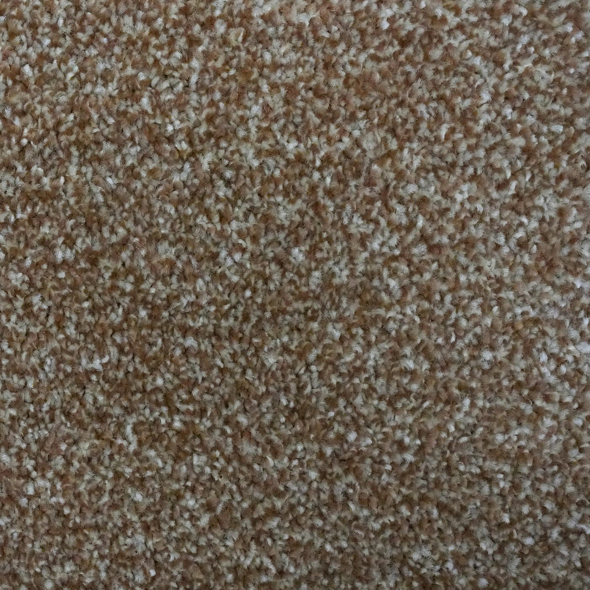 Flooring Wholesale Optima Sepia Carpet