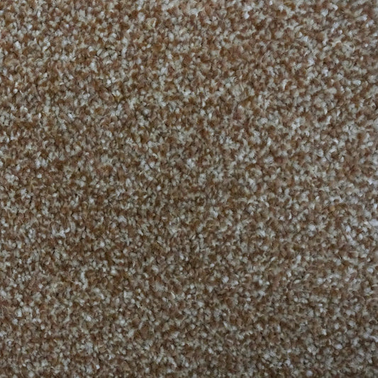 Flooring Wholesale Optima Sepia Carpet