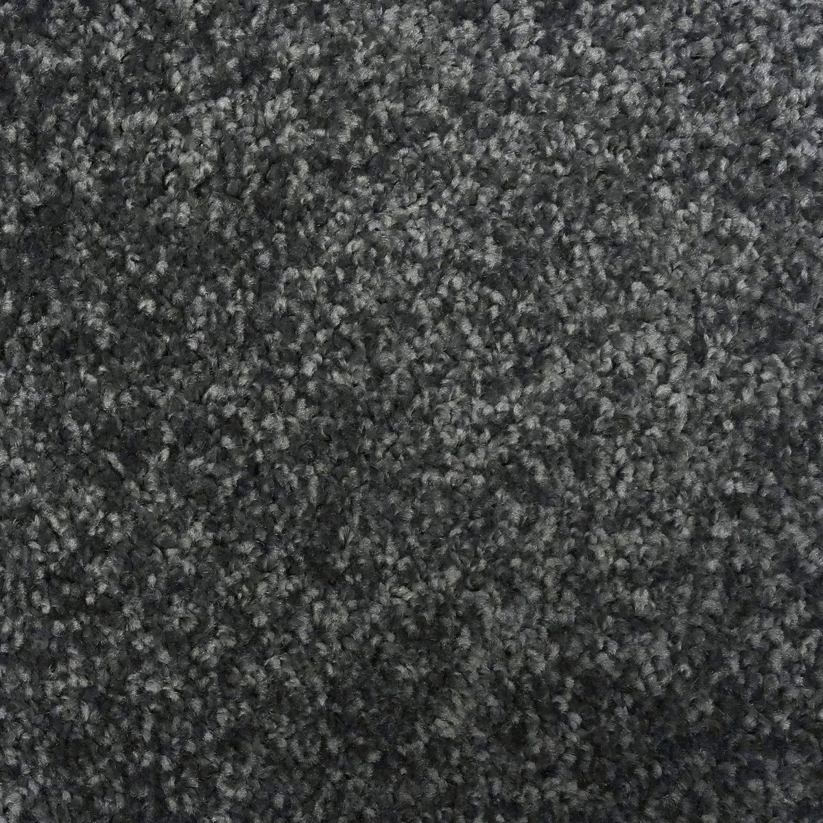 Flooring Wholesale Optima Smoke Carpet