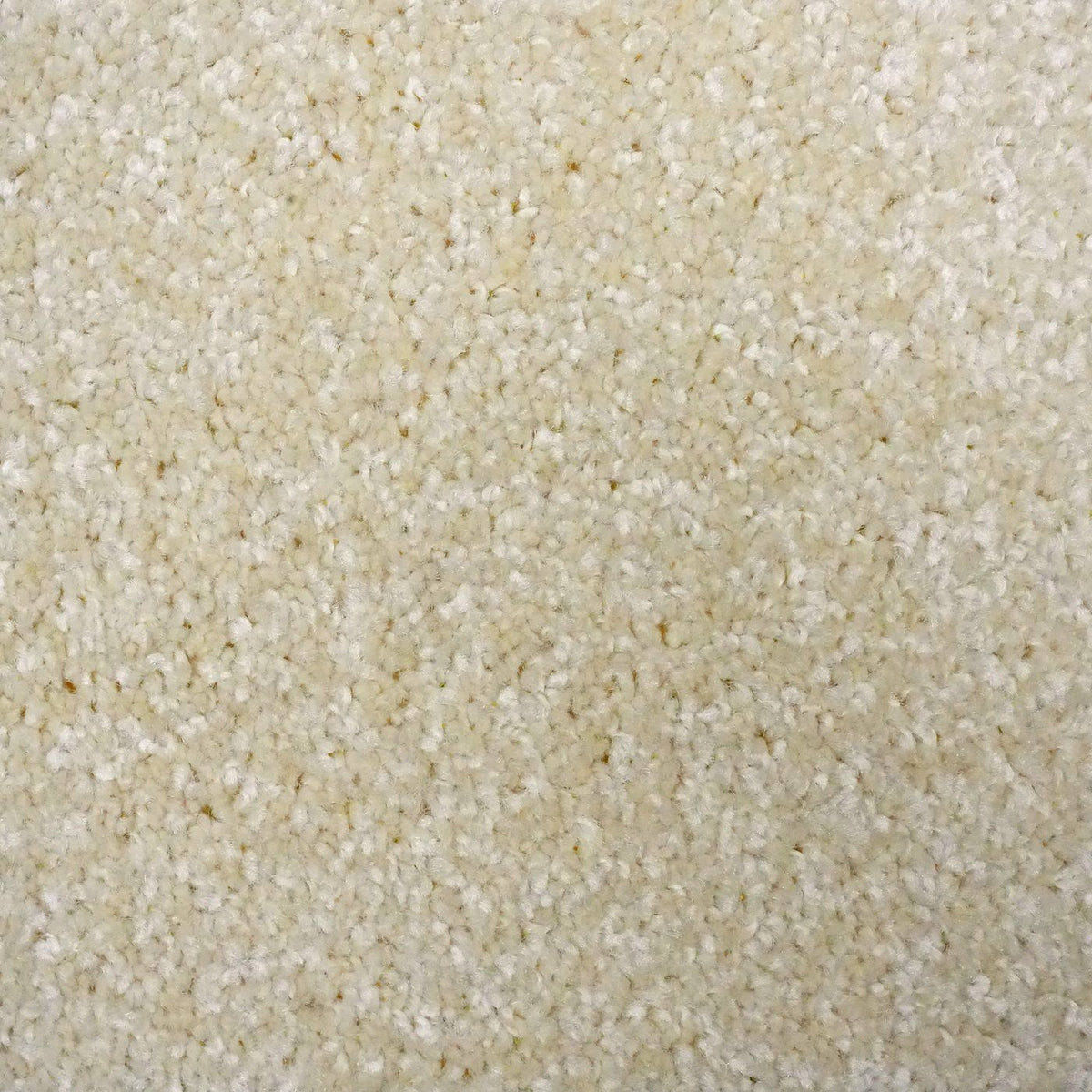 Flooring Wholesale Optima Stone Carpet