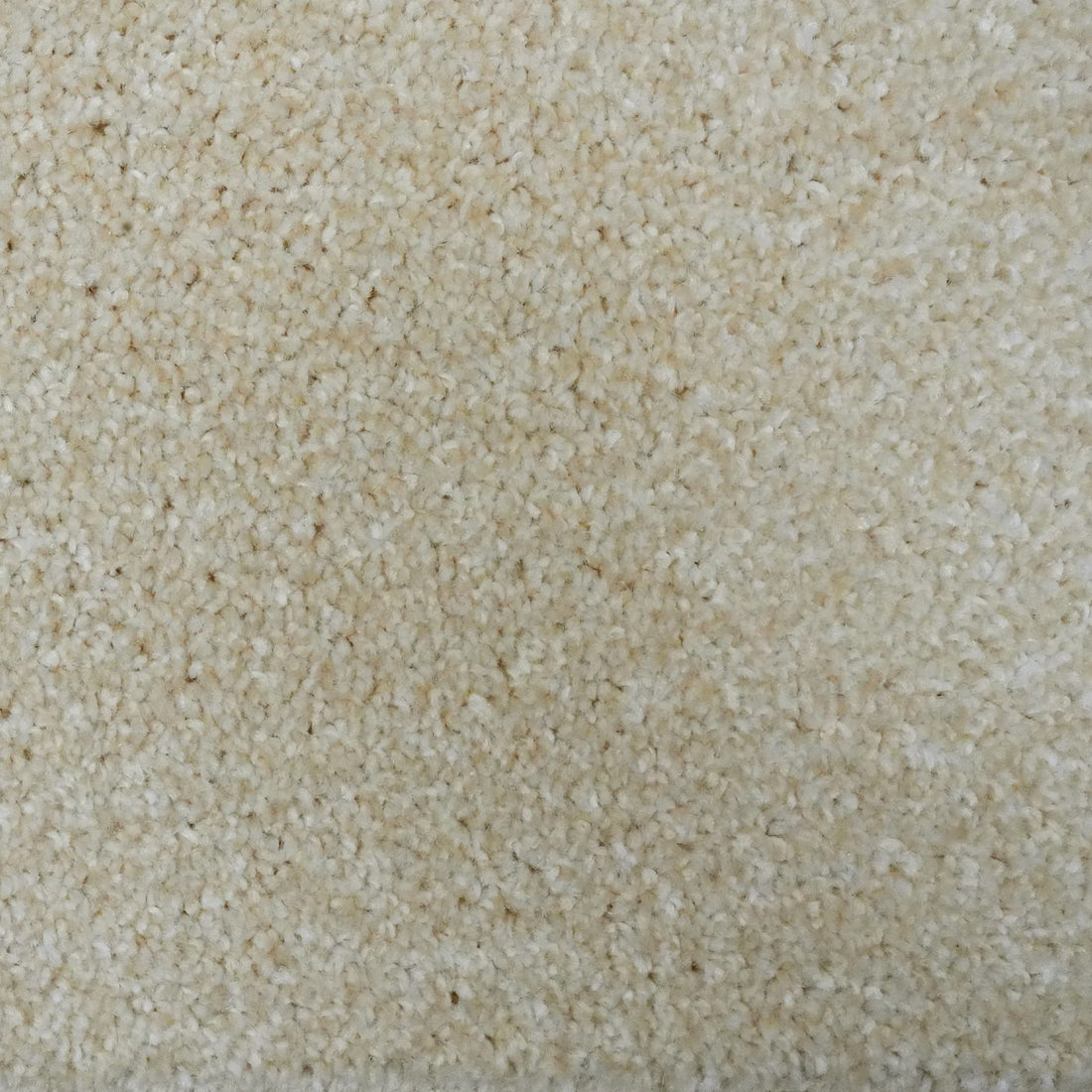 Flooring Wholesale Optima Vanilla Carpet