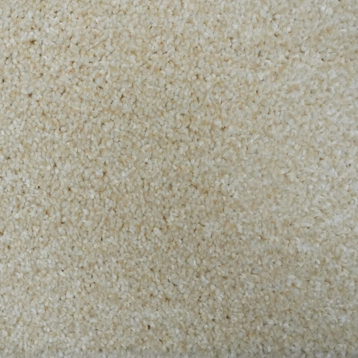 Flooring Wholesale Optima Vanilla Carpet