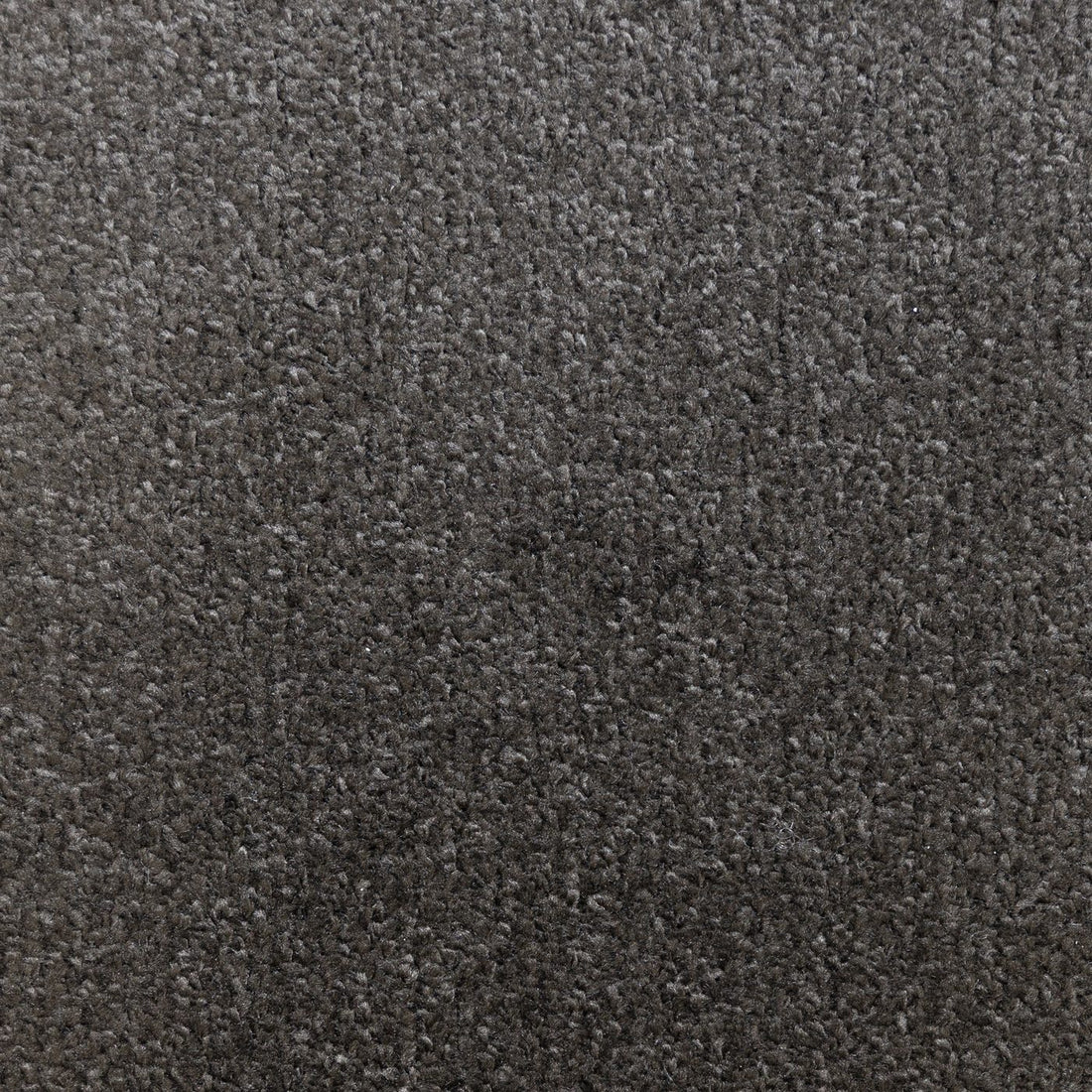 Flooring Wholesale Prime Anthracite Carpet