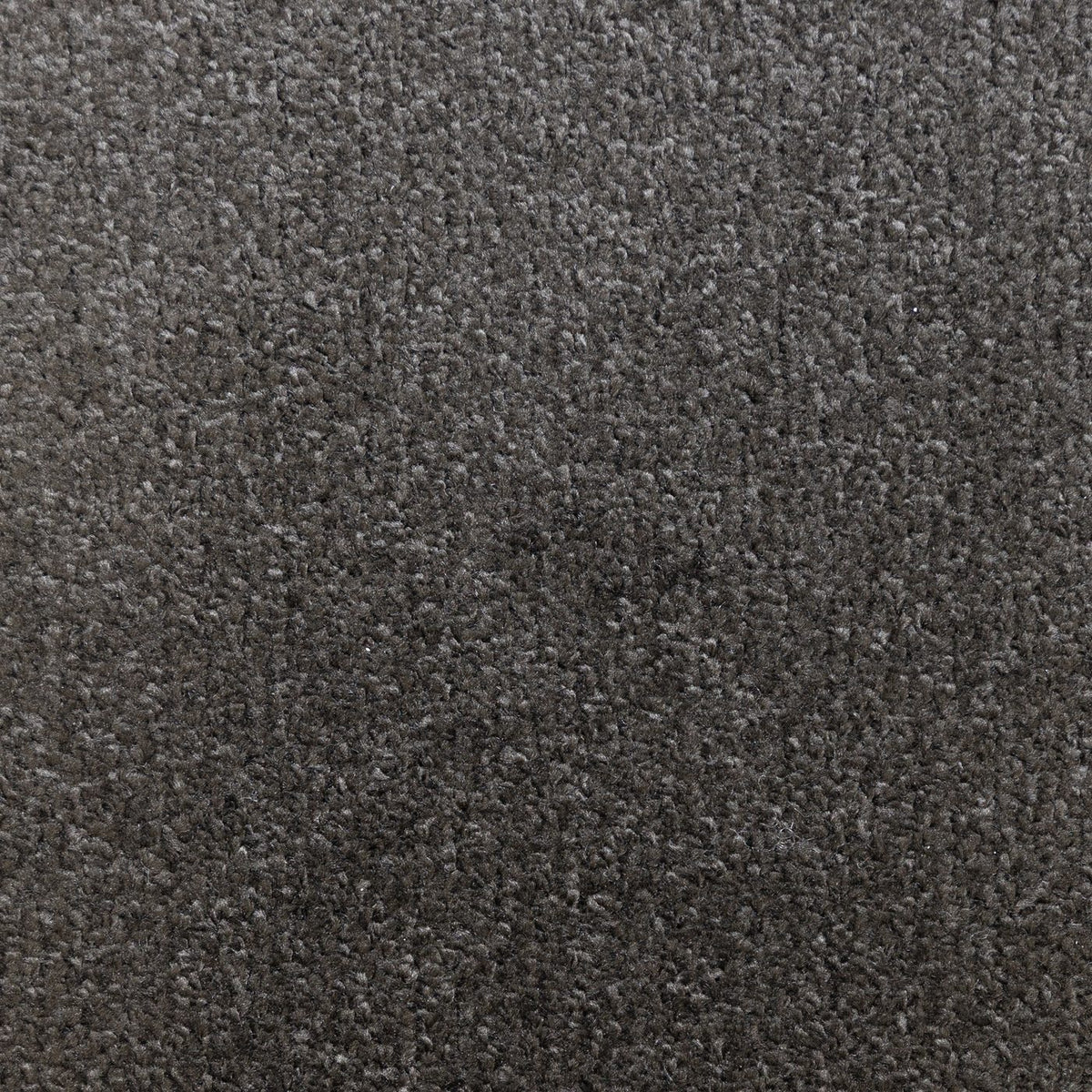 Flooring Wholesale Prime Anthracite Carpet