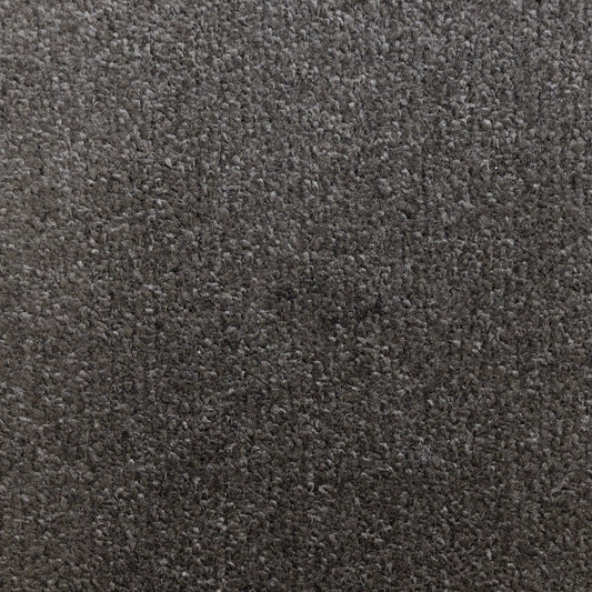 Flooring Wholesale Prime Anthracite Carpet