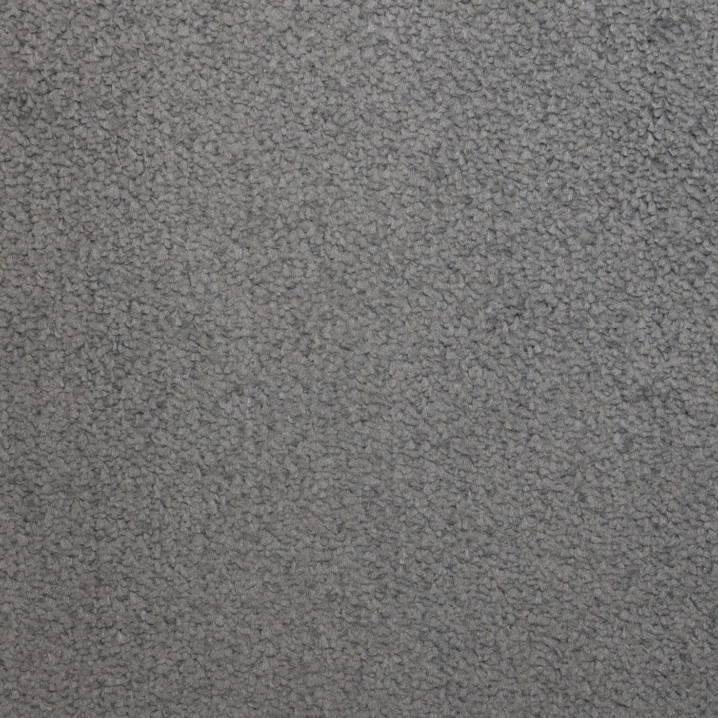 Flooring Wholesale Prime Ash Carpet