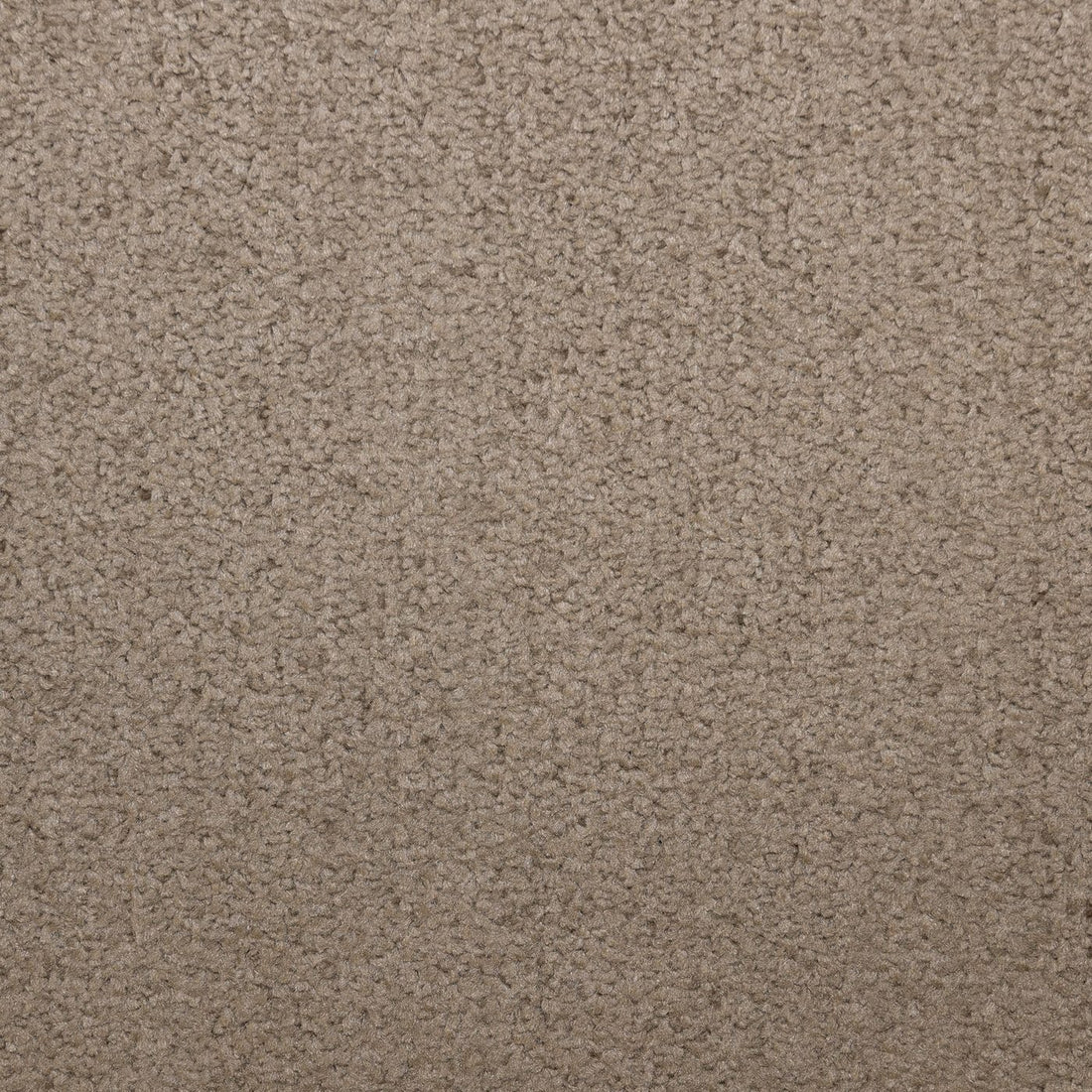 Flooring Wholesale Prime Chocolate Carpet