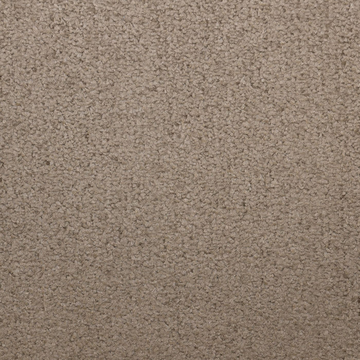 Flooring Wholesale Prime Chocolate Carpet
