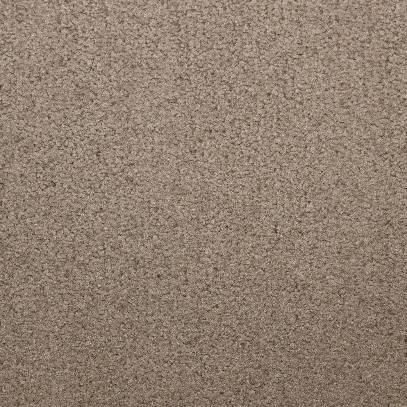 Flooring Wholesale Prime Chocolate Carpet