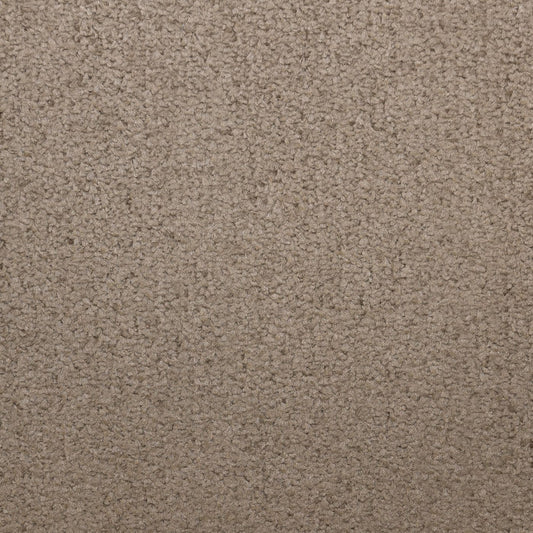 Flooring Wholesale Prime Chocolate Carpet