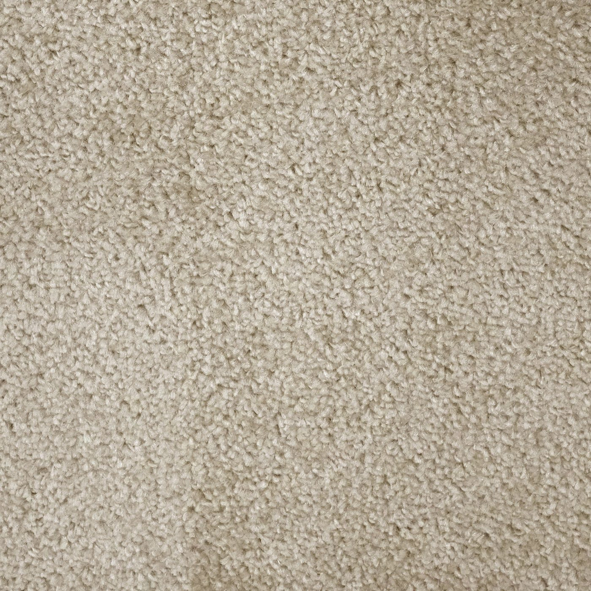 Flooring Wholesale Prime Crème Carpet