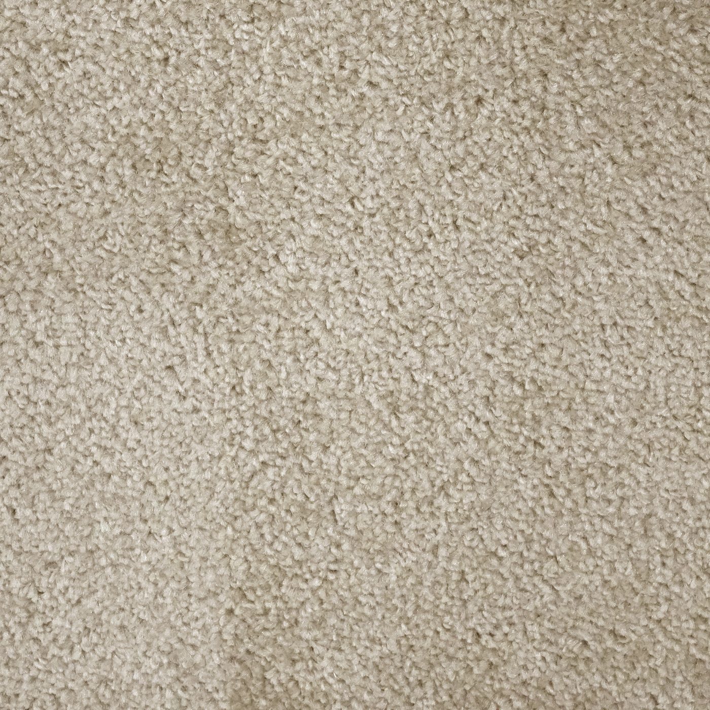 Flooring Wholesale Prime Crème Carpet