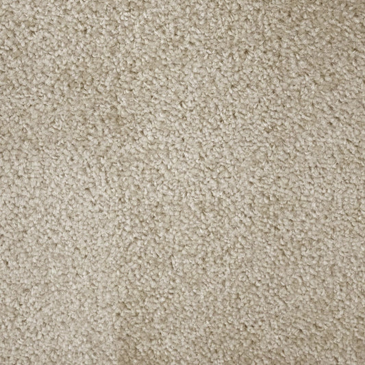 Flooring Wholesale Prime Crème Carpet