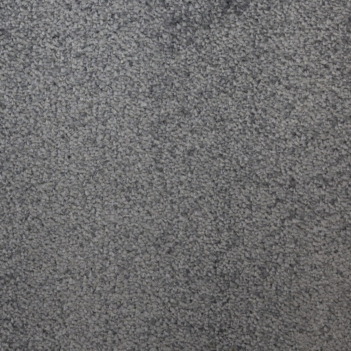 Flooring Wholesale Prime Denim Carpet