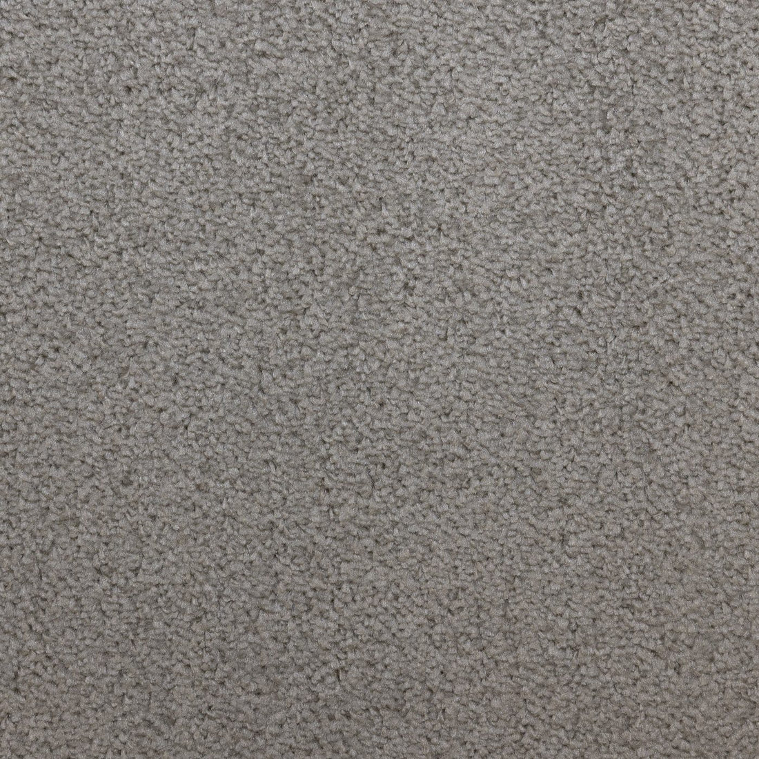 Flooring Wholesale Prime Fern Carpet