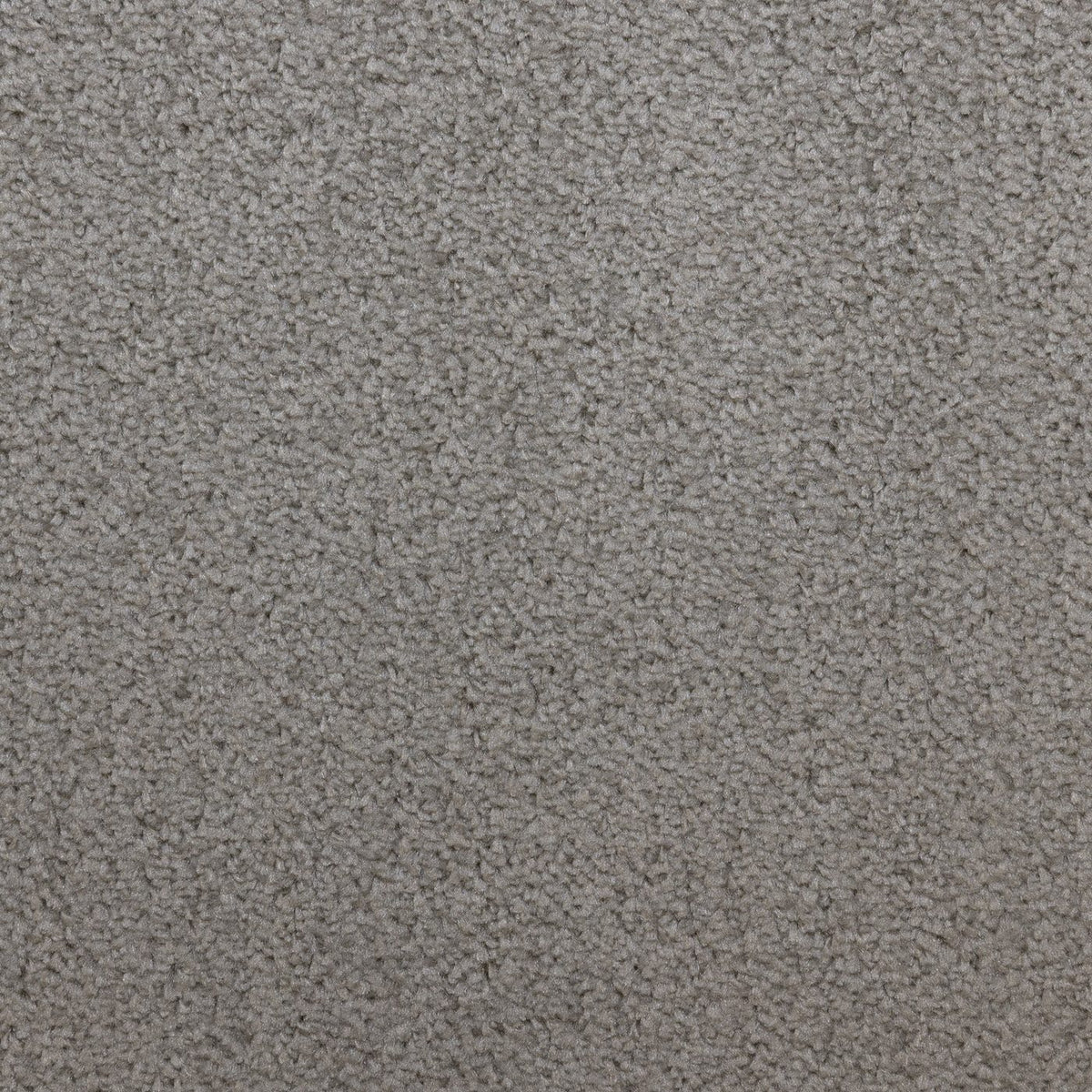 Flooring Wholesale Prime Fern Carpet