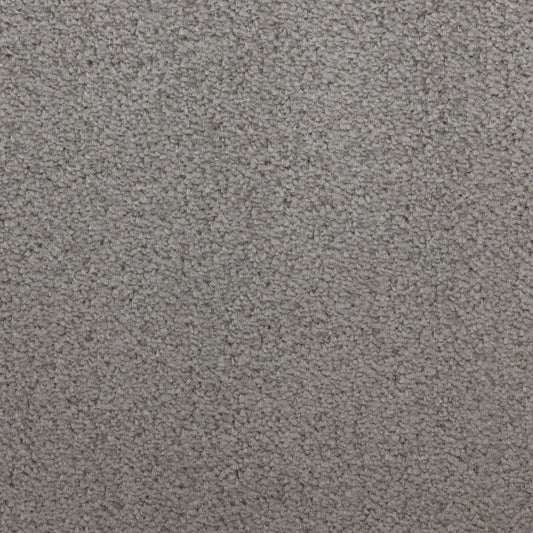Flooring Wholesale Prime Fern Carpet