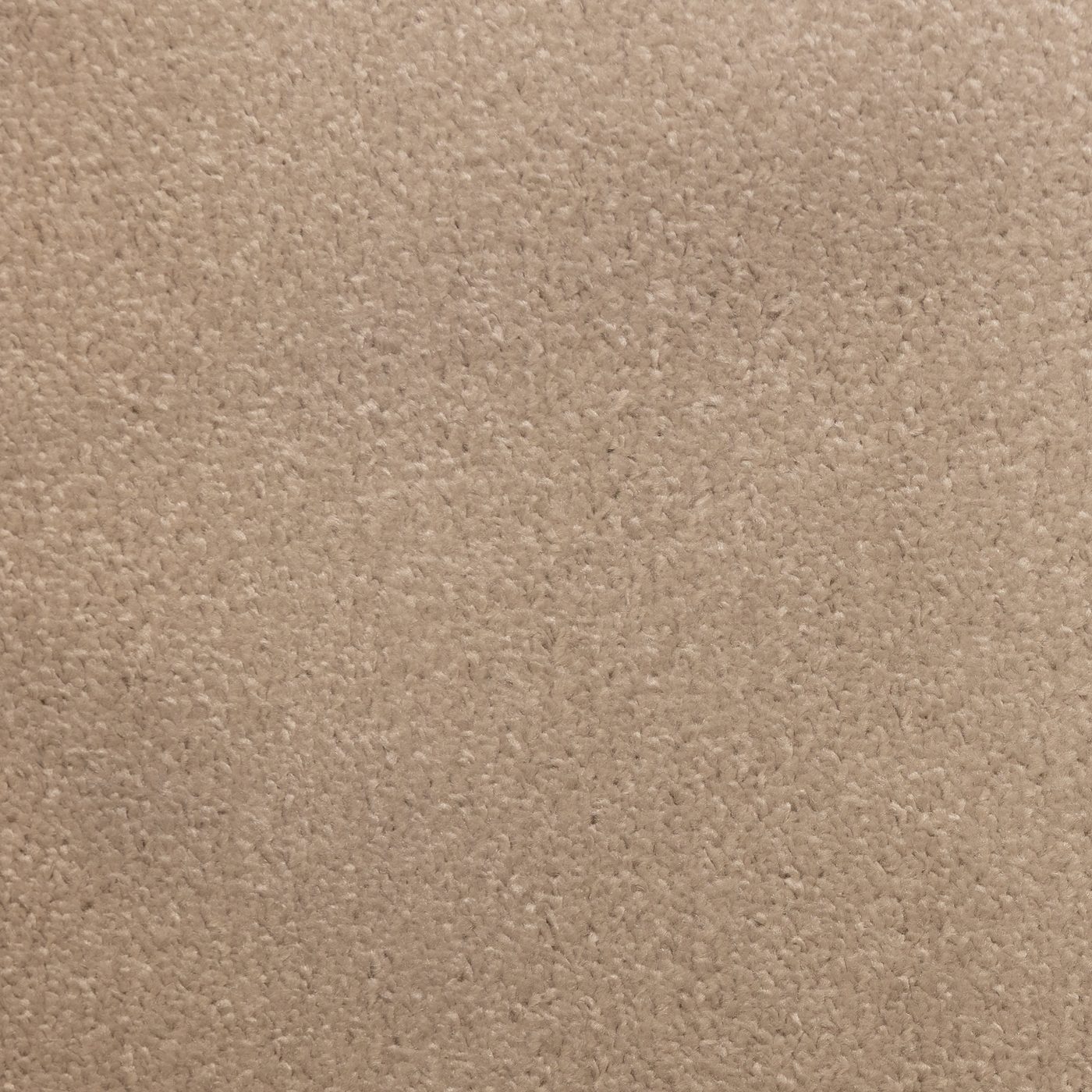 Flooring Wholesale Prime Rose Carpet