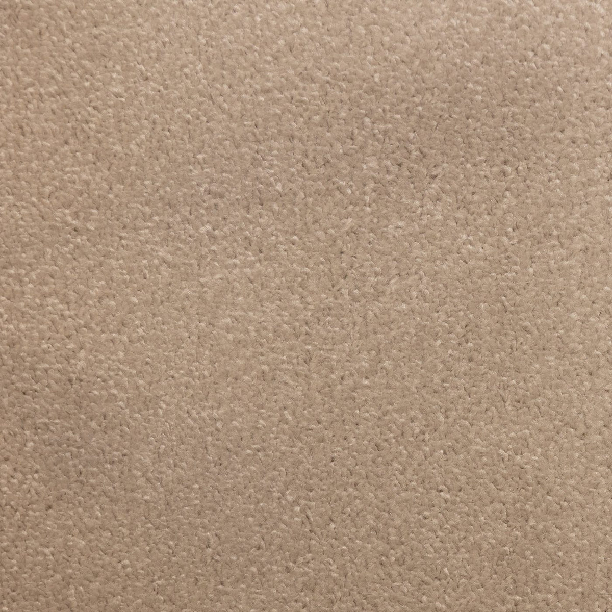Flooring Wholesale Prime Rose Carpet