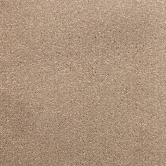 Flooring Wholesale Prime Rose Carpet
