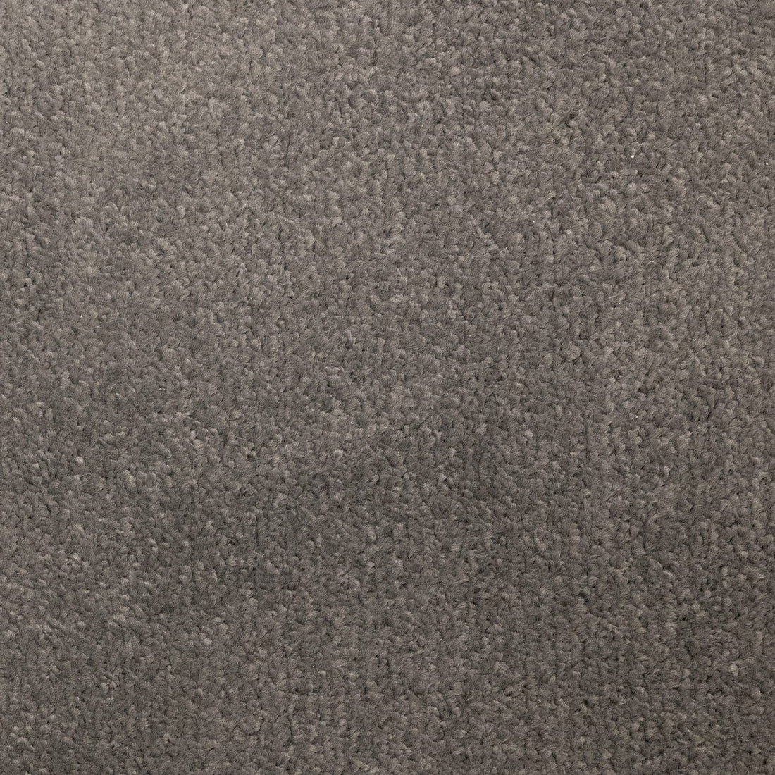Flooring Wholesale Prime Smoke Carpet